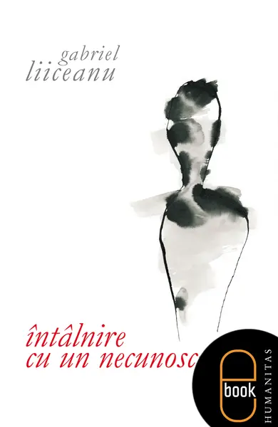 Întâlnire cu un necunoscut (ebook)