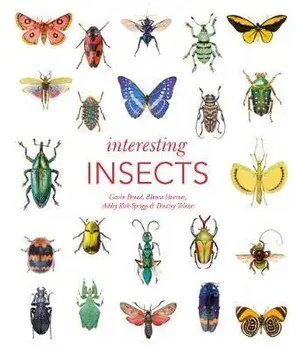 Interesting Insects, Hardback/Blanca Huertas