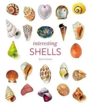 Interesting Shells, Hardback/Andreia Salvador