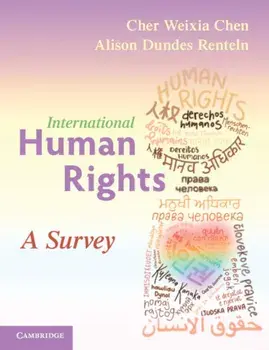 International Human Rights. A Survey, Paperback/***