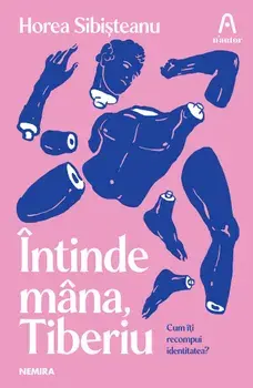 Intinde mana, Tiberiu. Cum iti recompui identitatea?/Horea Sibisteanu