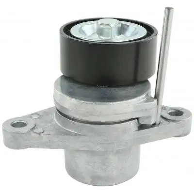 Intinzator curea, curea distributie FEBEST 0290-G15RA
