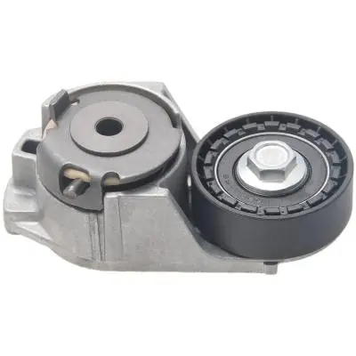 Intinzator curea, curea distributie FEBEST 2190-FYD3