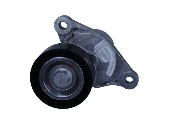 Intinzator curea, curea distributie Schaeffler INA 534 0655 10