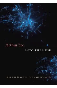 Into the Hush - Arthur Sze