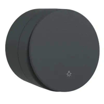 Intrerupator cu Revenire (BB) PT xOne Ovivo OV00980, 10A, 250V, IP20, antracit