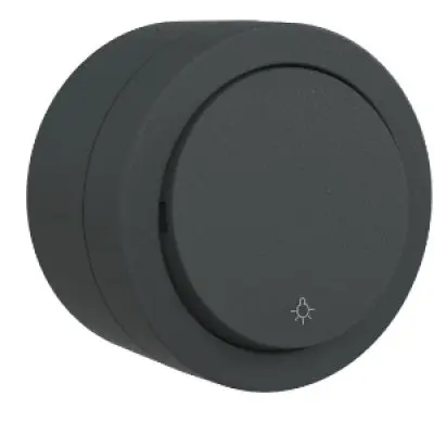 Intrerupator cu Revenire PT xOne Ovivo OV00944, 10A, 250V, IP20, antracit