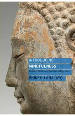 Introducing Mindfulness: Buddhist Background and Practical Exercises - Bhikkhu Analayo