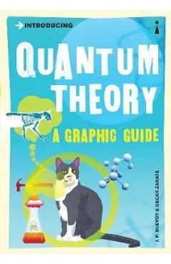 Introducing Quantum Theory