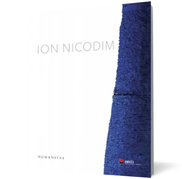 Ion Nicodim