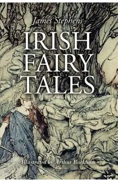 Irish Fairy Tales: Illustrated - Arthur Rackham