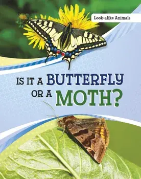 Is It a Butterfly or a Moth?, Paperback/Susan B. Katz