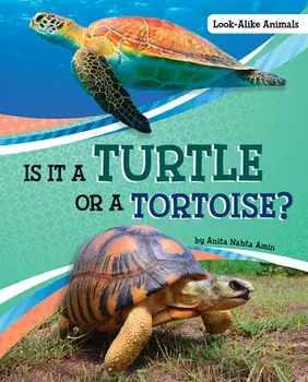 Is It a Turtle or a Tortoise?, Hardcover/Anita Nahta Amin