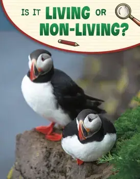 Is It Living or Non-living?, Paperback/***
