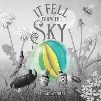 It Fell From The Sky, Hardback/Eric Fan