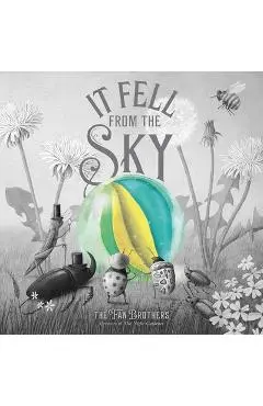 It Fell from the Sky - Terry Fan