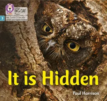 It is Hidden. Phase 3, Paperback/Paul Harrison