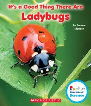 It's a Good Thing There Are Ladybugs, Paperback/Joanne Mattern