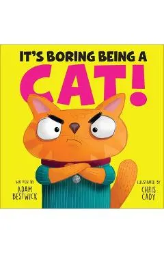 It's Boring Being a Cat! - Adam Bestwick