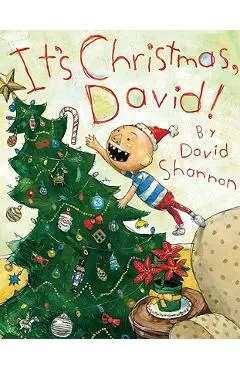 It's Christmas, David! - David Shannon