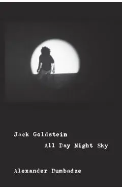 Jack Goldstein: All Day Night Sky - Alexander Dumbadze