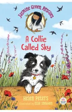 Jasmine Green Rescues: A Collie Called Sky - Helen Peters