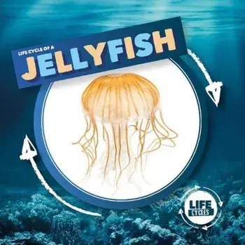 Jellyfish, Hardback/Kirsty Holmes