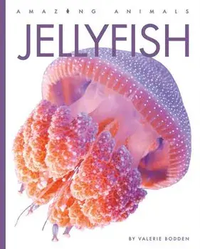 Jellyfish, Paperback/Valerie Bodden
