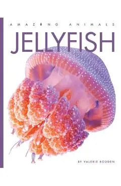 Jellyfish - Valerie Bodden