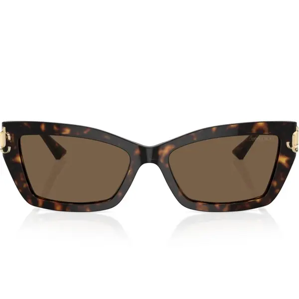 Jimmy Choo JC5011U 5002/73 55