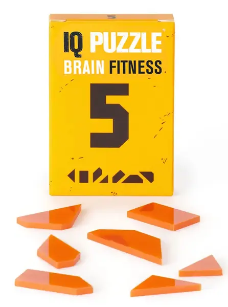 Joc de logica - Brain Fitness - Number 5 | IQ Puzzle