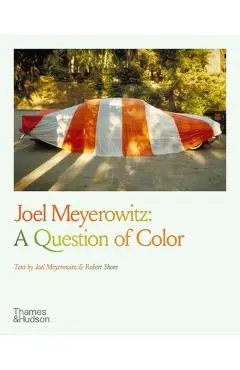 Joel Meyerowitz: A Question of Color - Joel Meyerowitz