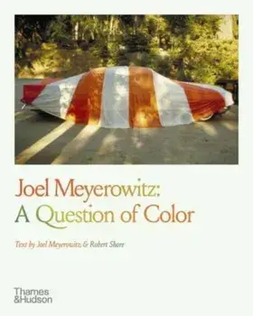 Joel Meyerowitz: A Question of Color, Paperback/***