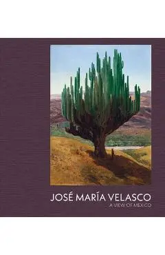 Jose Maria Velasco: A View of Mexico - Dexter Dalwood