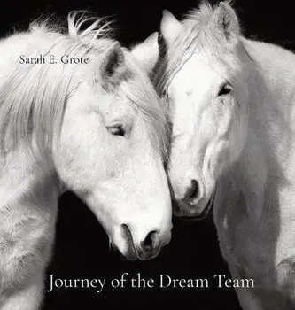 Journey of the Dream Team, Hardcover/Sarah E. Grote