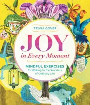 Joy in Every Moment: Mindful Exercises for Waking to the Wonders of Ordinary Life, Paperback/Tzivia Gover