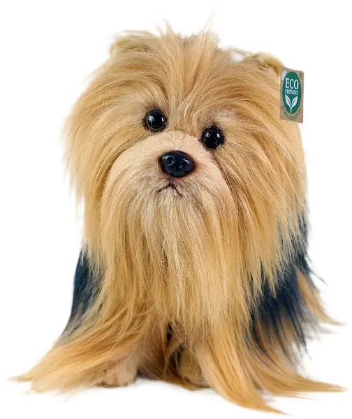 Jucărie de pluș Rappa Eco prietenii - Câine Yorkshire, așezat, 30 cm