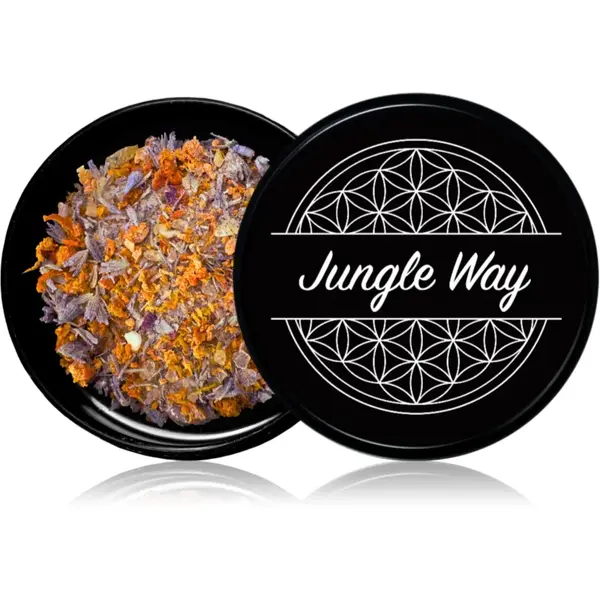 Jungle Way Positive Vibes suporturi pentru ars tămâie 15 g