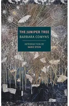 Juniper Tree