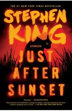 Just After Sunset: Stories - Stephen King