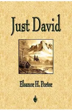 Just David - Eleanor H. Porter