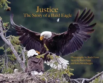 Justice--The Story of a Bald Eagle, Hardcover/Ruth Fenn