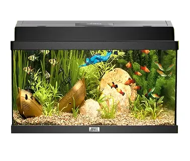 Juwel Acvariu Primo 60 Negru