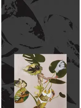 Kandis Williams: A Surface, Paperback/***