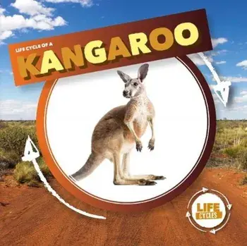 Kangaroo, Hardback/Kirsty Holmes