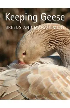 Keeping Geese - Chris Ashton