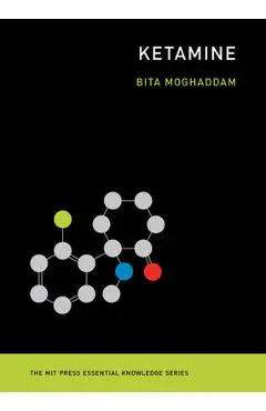 Ketamine - Bita Moghaddam