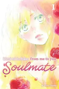 Kimi ni Todoke: From Me to You: Soulmate, Vol. 1, Paperback/Karuho Shiina