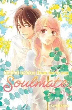 Kimi ni Todoke: From Me to You: Soulmate, Vol. 2, Paperback/Karuho Shiina