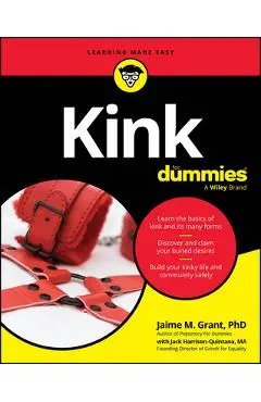 Kink for Dummies - Jaime M. Grant